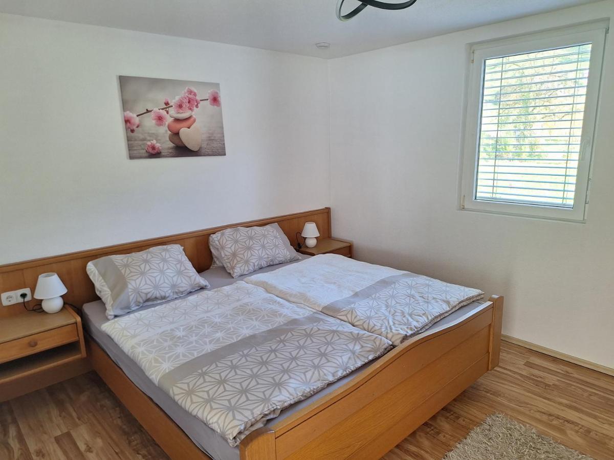 Apartment Rheintal Im Alpenvorland Batschuns Luaran gambar