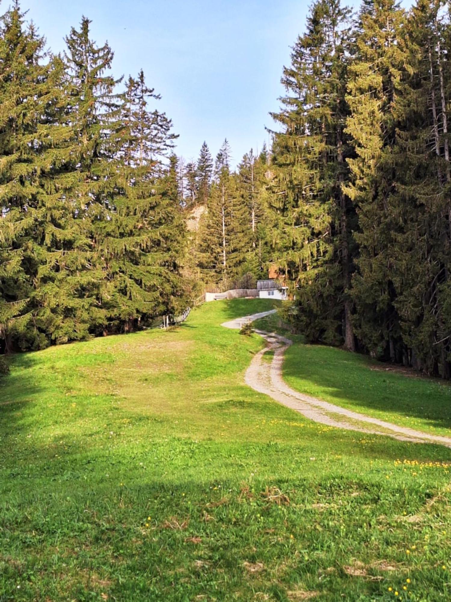 Apartment Rheintal Im Alpenvorland Batschuns Luaran gambar