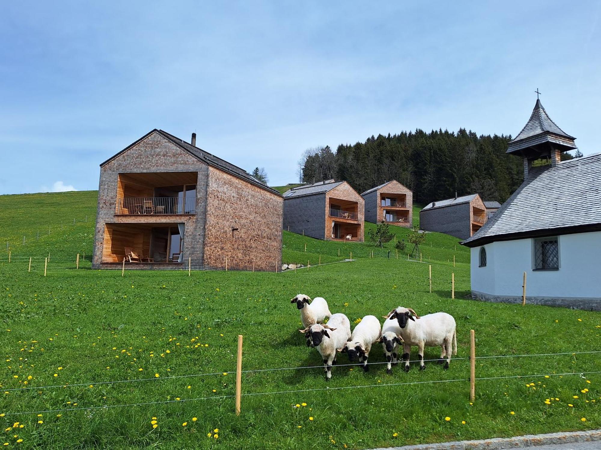 Apartment Rheintal Im Alpenvorland Batschuns Luaran gambar