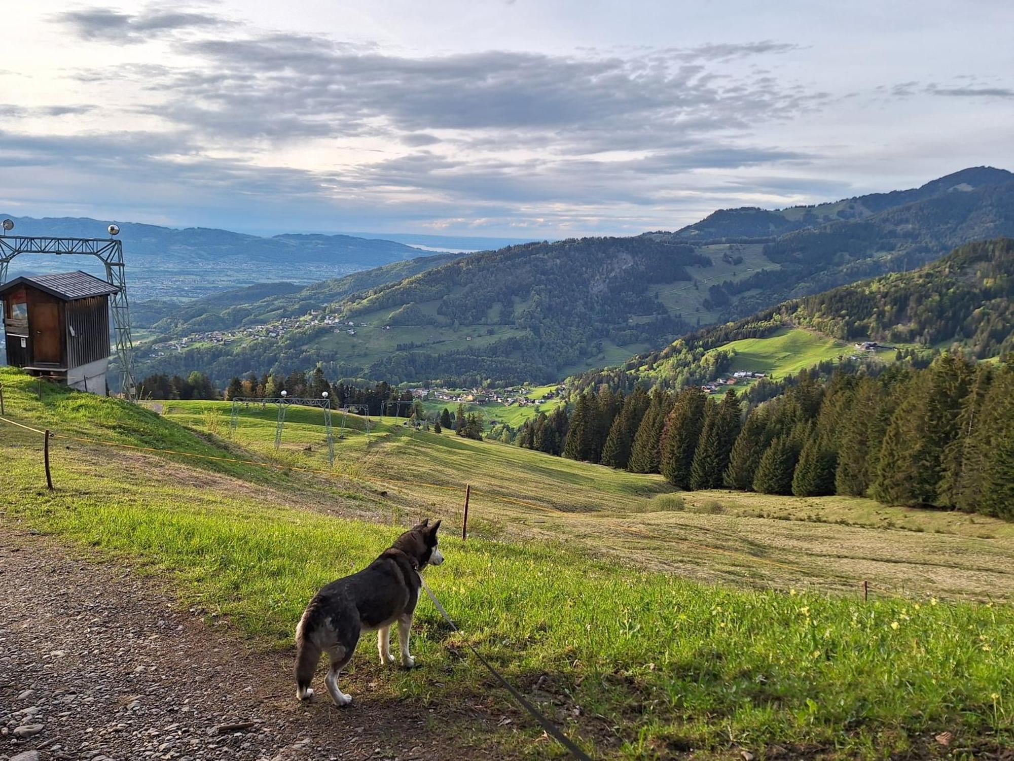 Apartment Rheintal Im Alpenvorland Batschuns Luaran gambar