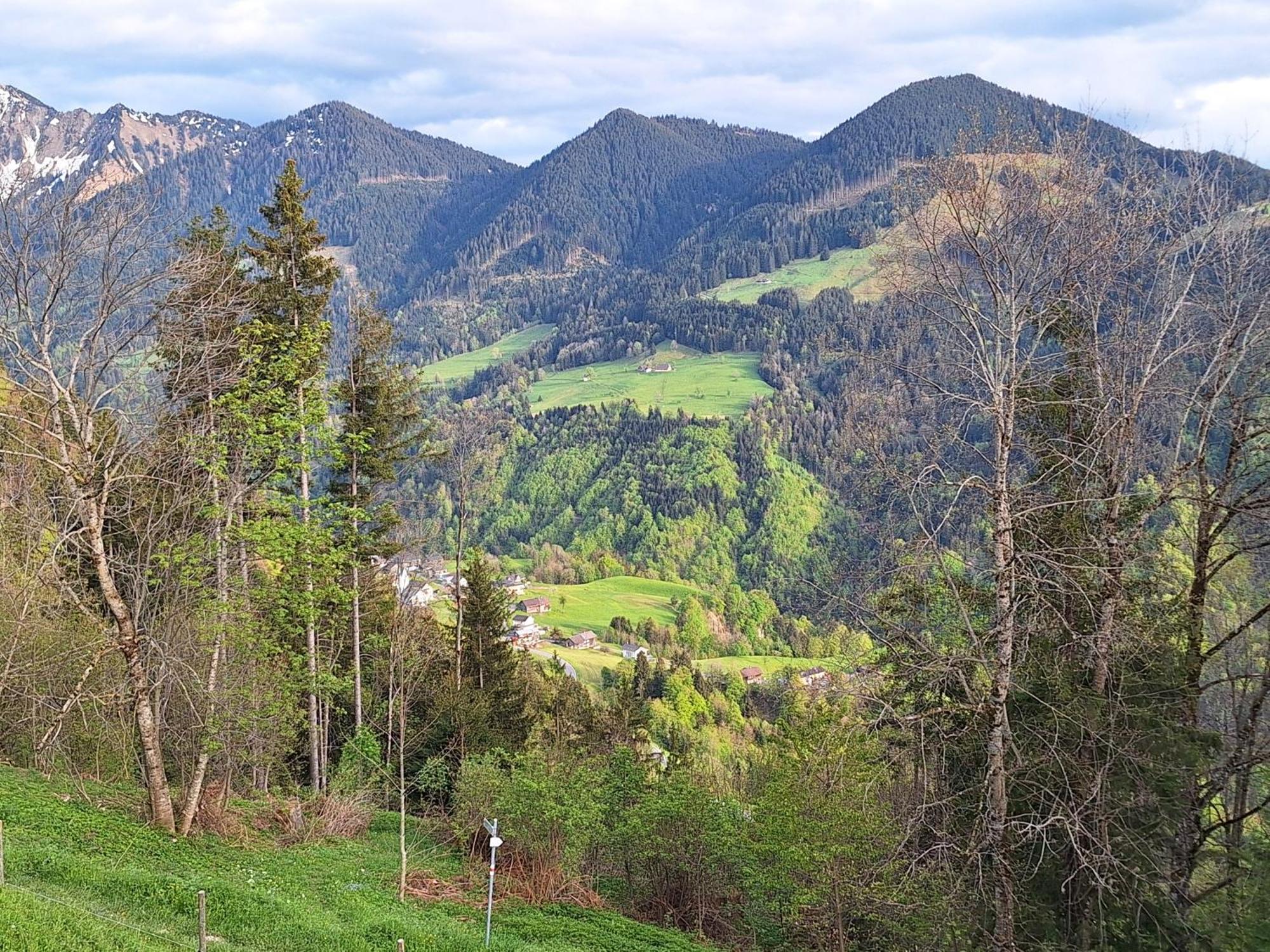 Apartment Rheintal Im Alpenvorland Batschuns Luaran gambar