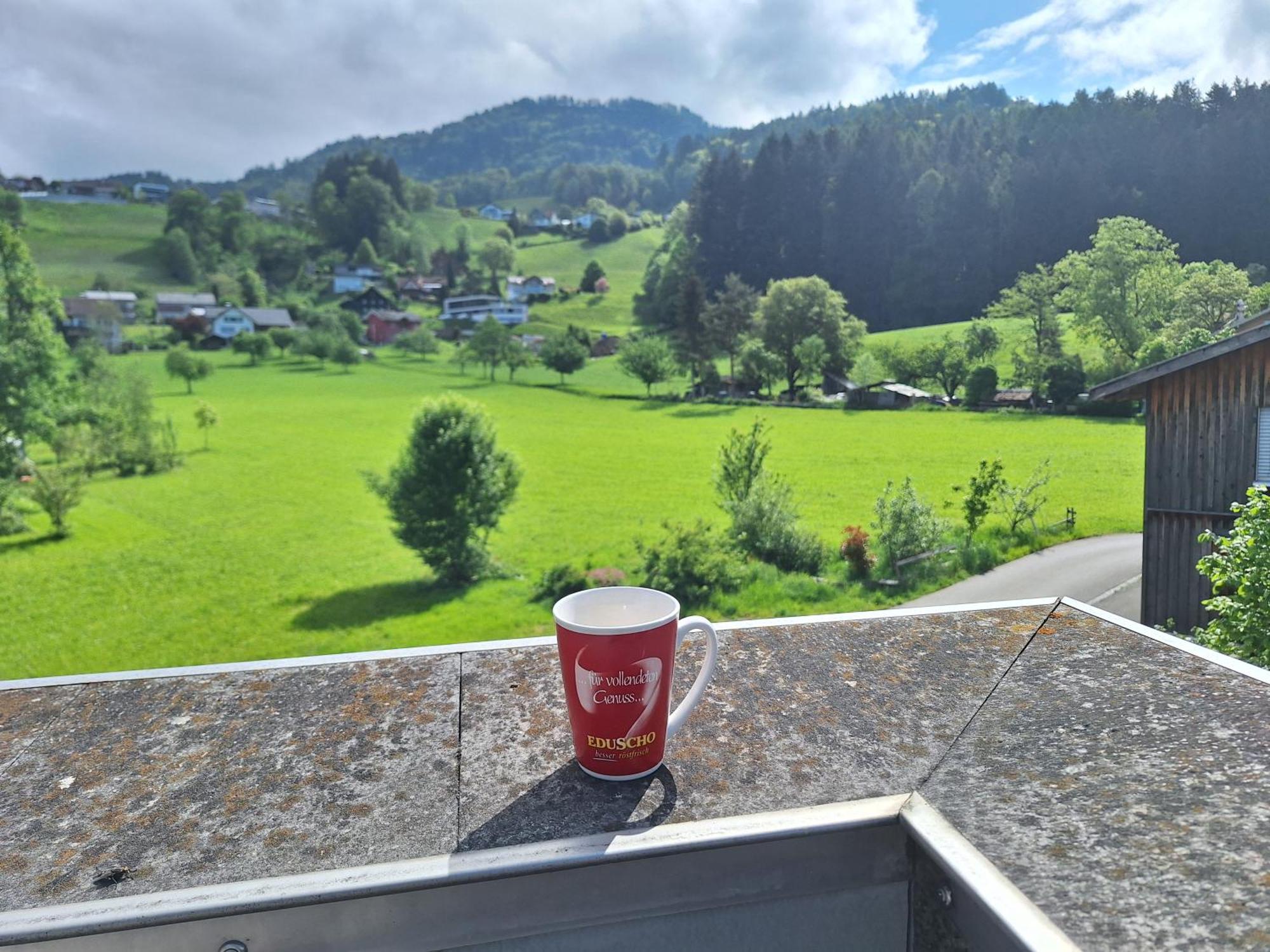 Apartment Rheintal Im Alpenvorland Batschuns Luaran gambar