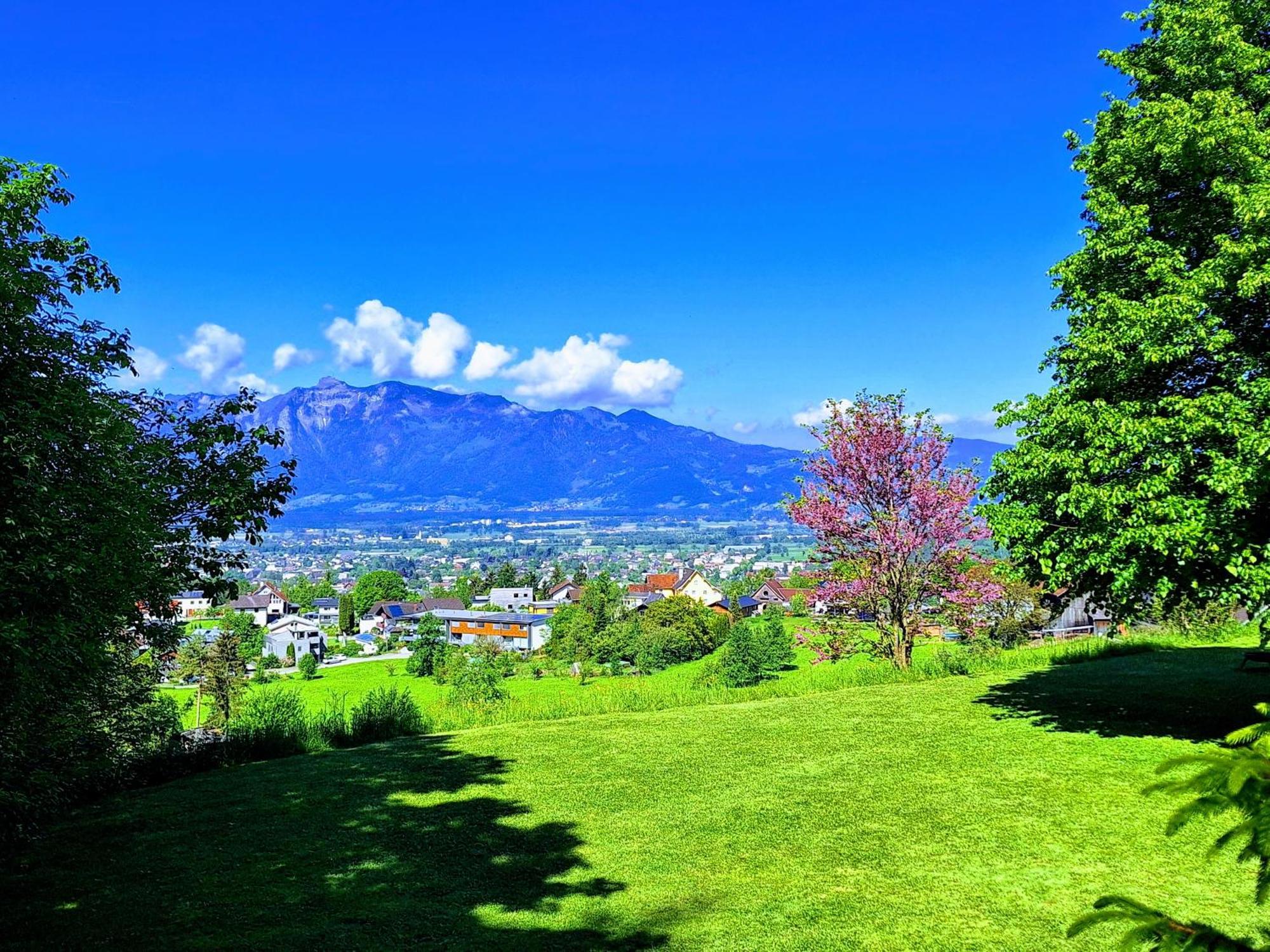 Apartment Rheintal Im Alpenvorland Batschuns Luaran gambar